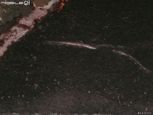 遲來的跨年夜摔車開箱文...........