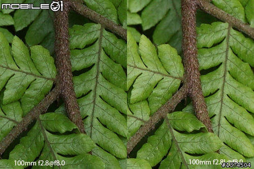 [舊的不去新的不來]EF 100mm f2.8 Macro USM VS EF 100mm f2.8L Macro IS USM