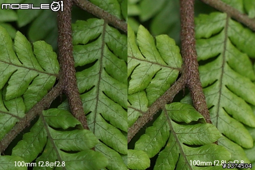 [舊的不去新的不來]EF 100mm f2.8 Macro USM VS EF 100mm f2.8L Macro IS USM