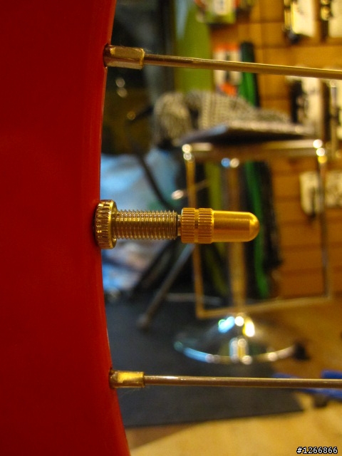 小藍的2009 X'mas gift~~GIANT Freeda Royal