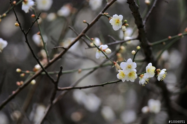 [分享]D300s+300mm F4 神奇啦!傑克...光圈出現F1.4