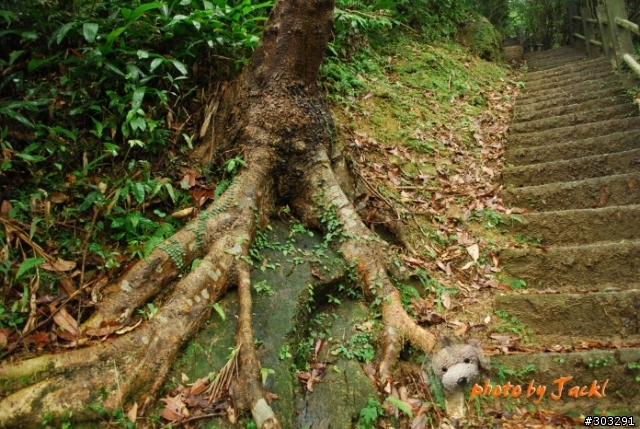 【郊山】 9811瑞芳小晃