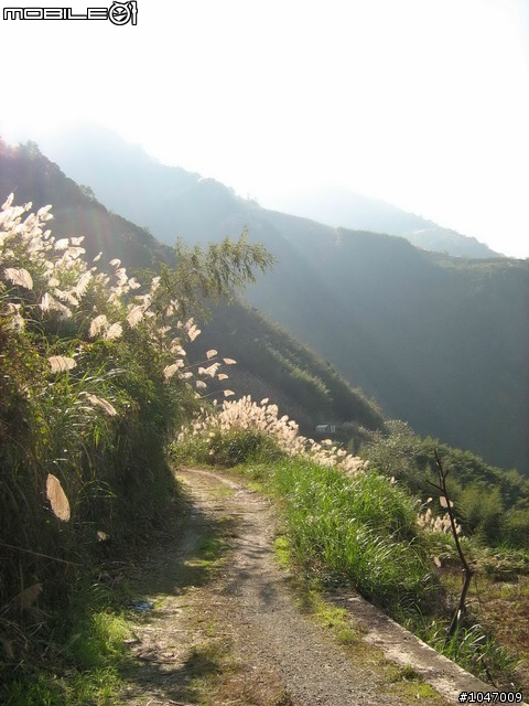 尖石-宇老-秀巒-石磊獨跑去(圖多慎入)
