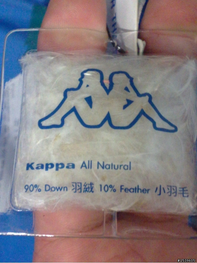 kappa羽絨外套不知好或不好..請幫我解說謝謝大家