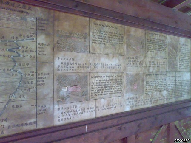 2010阿里山第一道曙光遊記