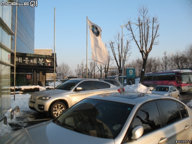 雪地裡的馬.及.受凍的馬