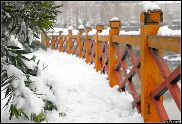 今天拍的雪景~請朋友們欣賞下，多提意見!