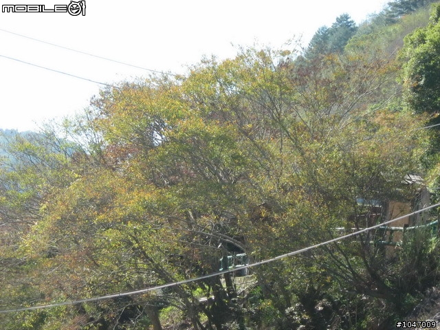 尖石-宇老-秀巒-石磊獨跑去(圖多慎入)
