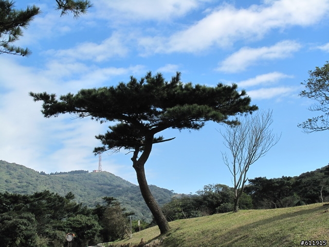偷得半日閑轉把半日遊:竹子湖海芋~二子坪~大屯山助航台