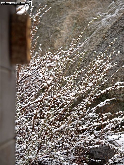 43新機公佈前繼續默默地使用我的E-510－風雪歸來