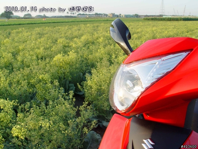 遲來的開箱文-台鈴-NEX-八耐紅