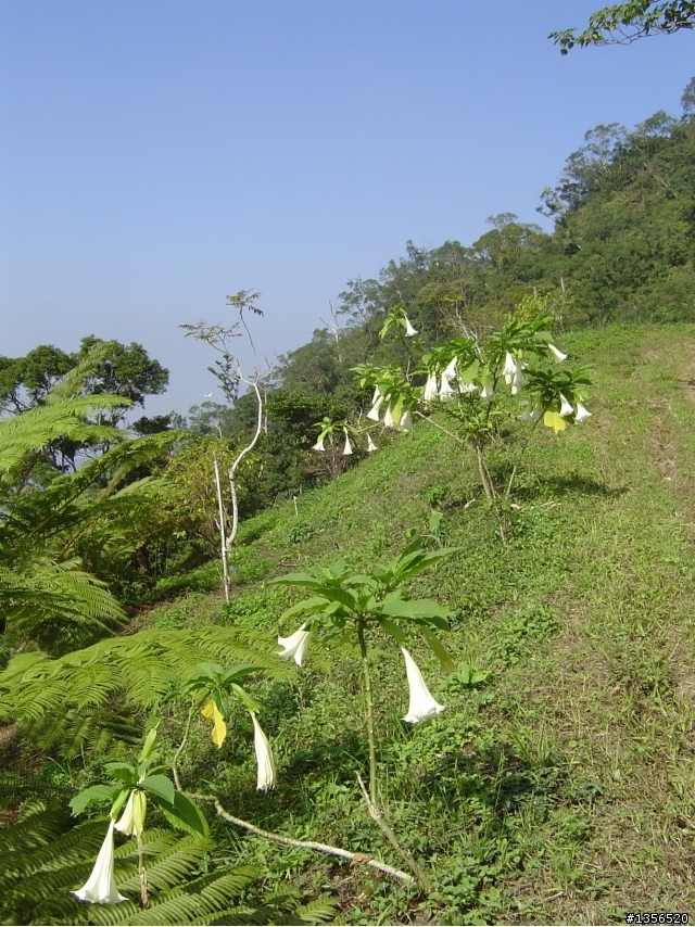 士文環線順登北湖呂山