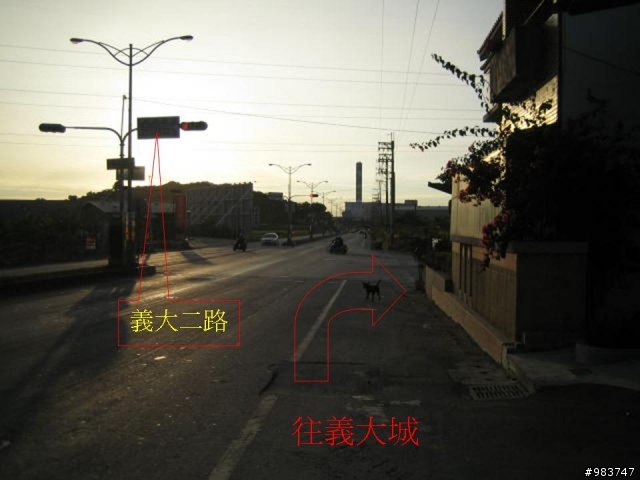 【分享】大樹繞一圈