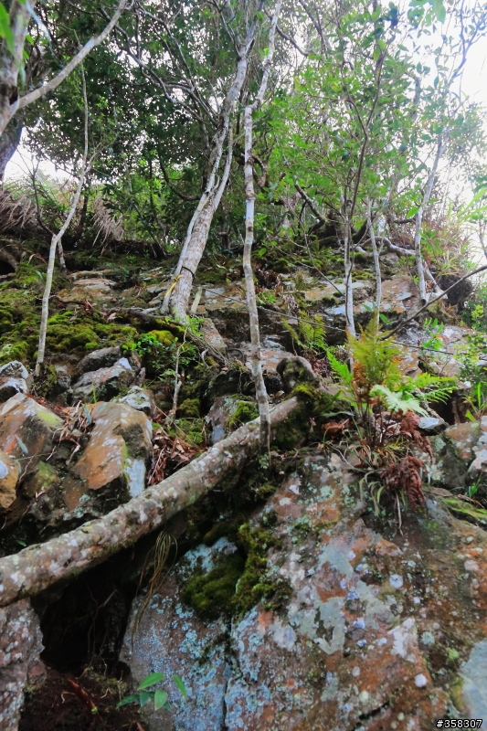 眉原山