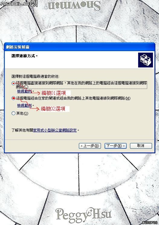 [教學] iPhone 3GS使用Internet共享，讓2台以上PC可以上網﹝限中華用戶﹞
