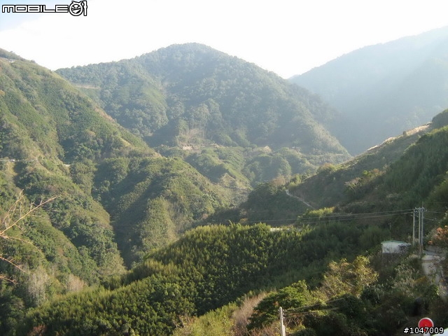 尖石-宇老-秀巒-石磊獨跑去(圖多慎入)