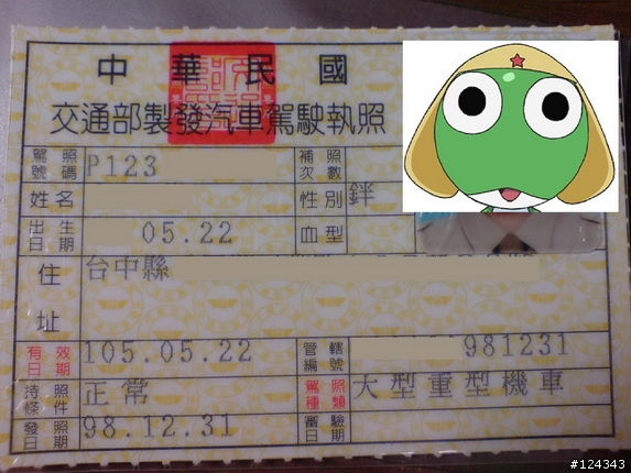拿到駕照了, 但是性別欄??