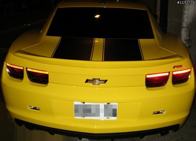 新竹邂逅BUMBLE BEE [有相]