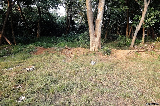『越野入門練習場』XC的好鄰居～民雄森林公園