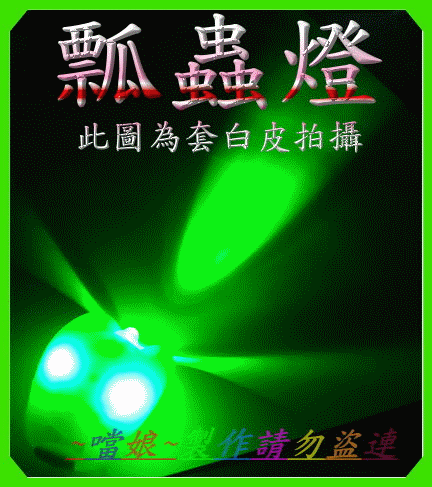 有人要瓢蟲燈嗎