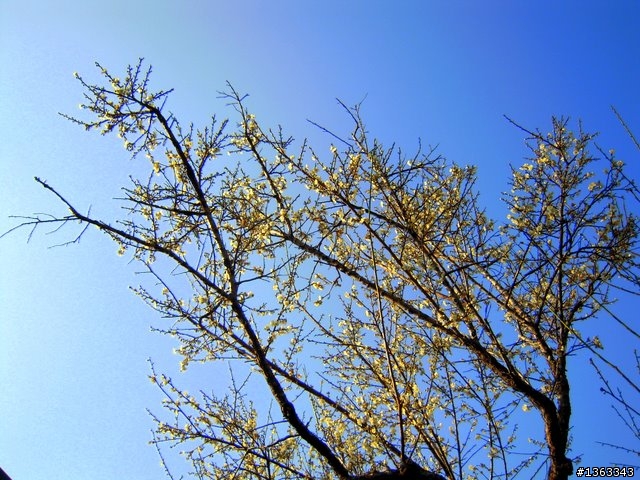 20100113梅林親水岸~~