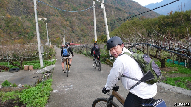 [遊記] 楓紅了 part 4....往北台灣中間走--武道能敢+石磊部落單車賞楓
