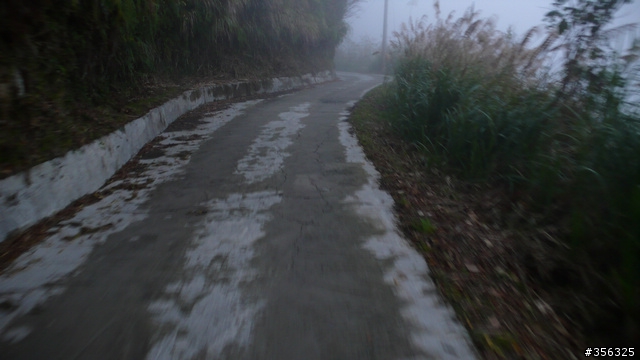 [遊記] 楓紅了 part 4....往北台灣中間走--武道能敢+石磊部落單車賞楓