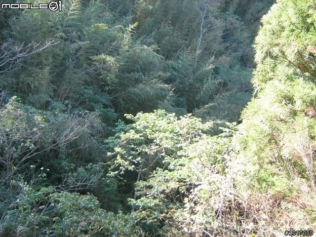 尖石-宇老-秀巒-石磊獨跑去(圖多慎入)