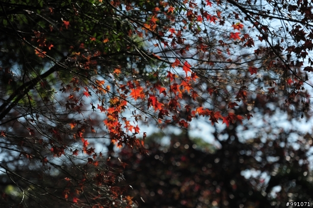 D700 奇遇記