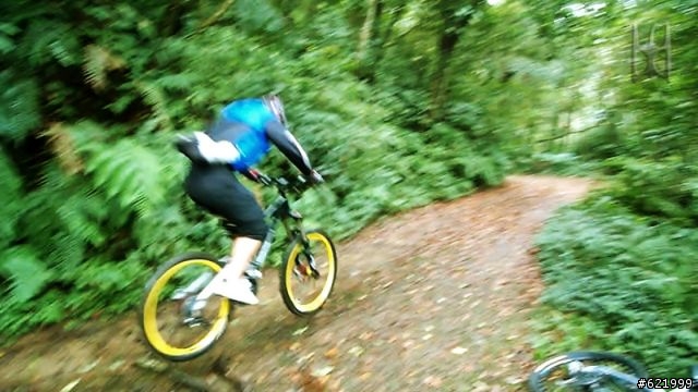 楓紅。熊空林道