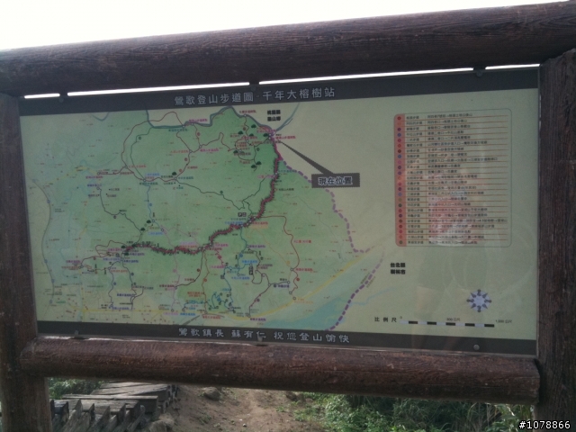 [分享]onroad offroad 都機!!!!桃園大棟山千年大榕樹初體驗
