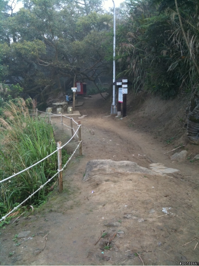 [分享]onroad offroad 都機!!!!桃園大棟山千年大榕樹初體驗