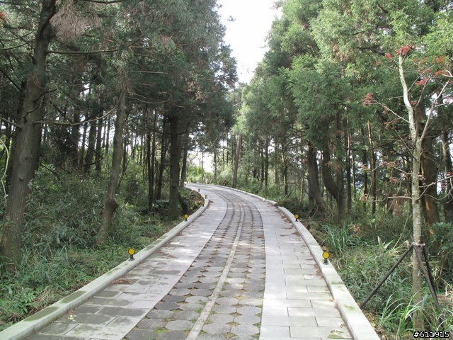 偷得半日閑轉把半日遊:竹子湖海芋~二子坪~大屯山助航台