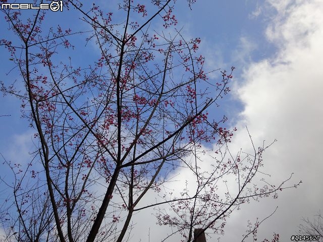 開箱 Sony WX1(黑)