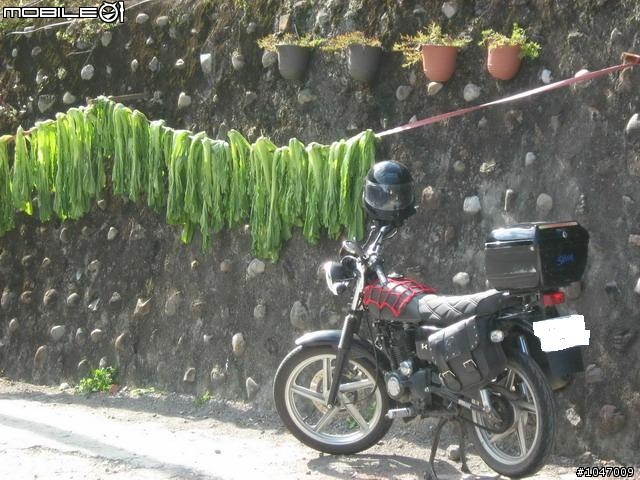 尖石-宇老-秀巒-石磊獨跑去(圖多慎入)