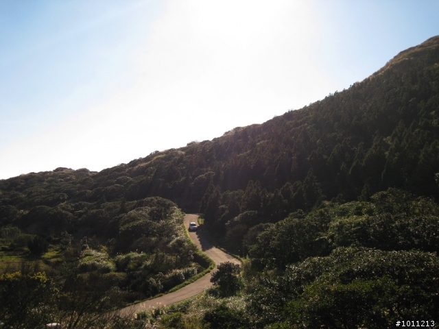 (照片分享)1/10日-冷水坑~小油坑單騎漫遊