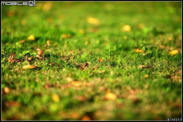 Nikon D3S vs Canon 5D MK II:以大欺小之高ISO正面對決