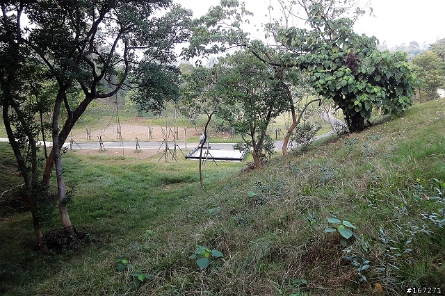 『越野入門練習場』XC的好鄰居～民雄森林公園