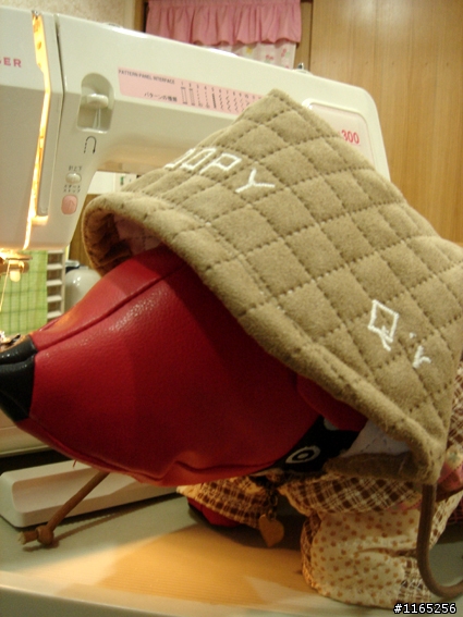 狗兒子的第一件衣服(省錢大作戰~)>>>>>加QQ試穿走秀