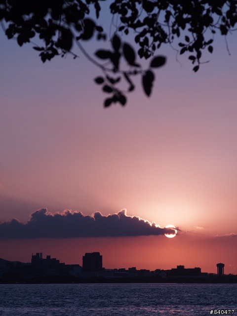 淡水貓、夕陽、EP-1