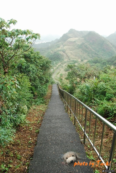 【郊山】 9811瑞芳小晃