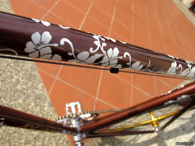 [遲來的分享] 一點都不 Fixed Gear 的古典 AXMAN 鋼管單速車