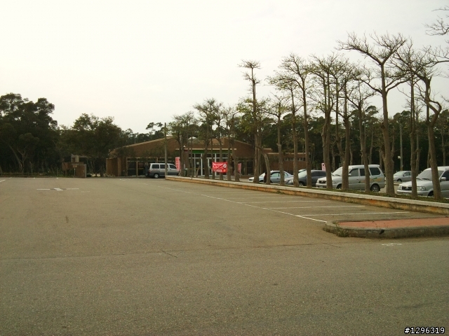2010.01.01大甲鎮瀾宮&鐵砧山