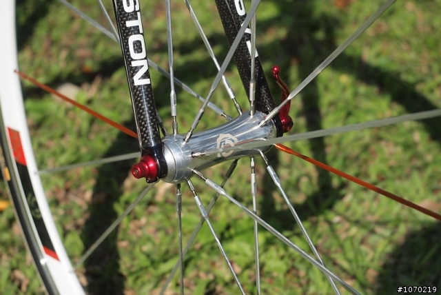 美國種馬~moots~