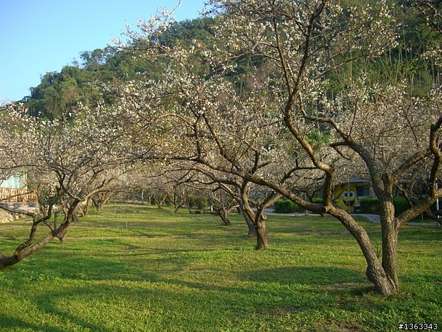20100113梅林親水岸~~