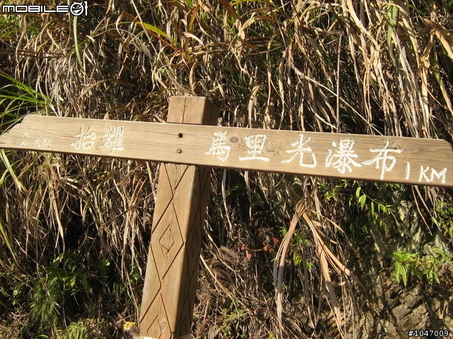 尖石-宇老-秀巒-石磊獨跑去(圖多慎入)