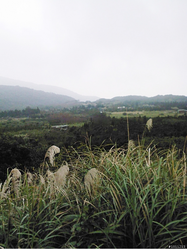 (遊記)1/2日~大稻埕-冷水坑-金山-淡金公路-大稻埕~100km單騎行