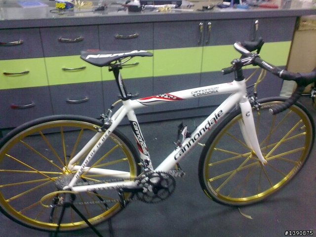 [開箱]限量版 cannondale caad9