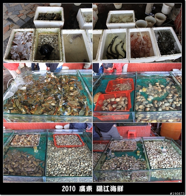 [遊記] 東莞車友區 元旦不騎車之陽江洗溫泉之旅