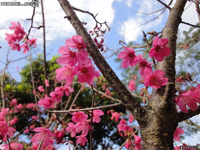 開箱 Sony WX1(黑)